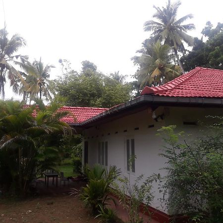 International Meditation Center Mirissa Exterior foto