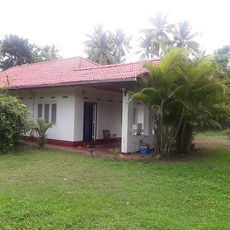 International Meditation Center Mirissa Exterior foto