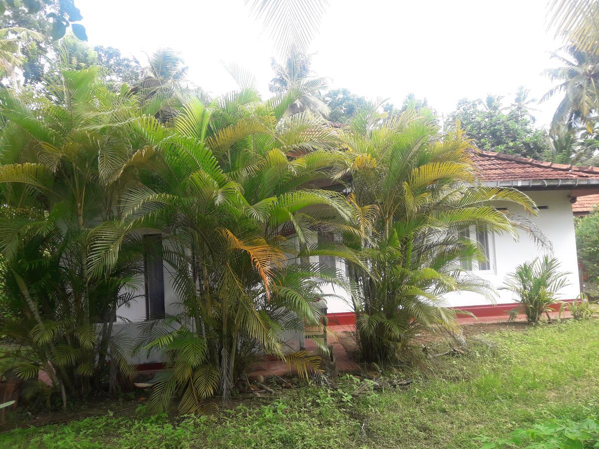 International Meditation Center Mirissa Exterior foto