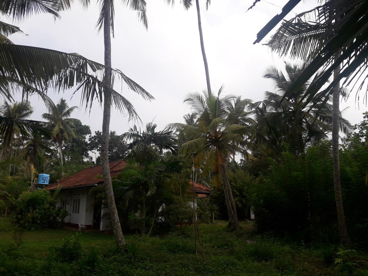 International Meditation Center Mirissa Exterior foto