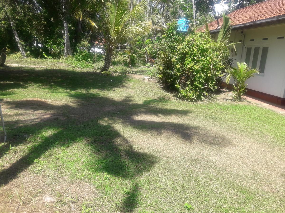 International Meditation Center Mirissa Exterior foto