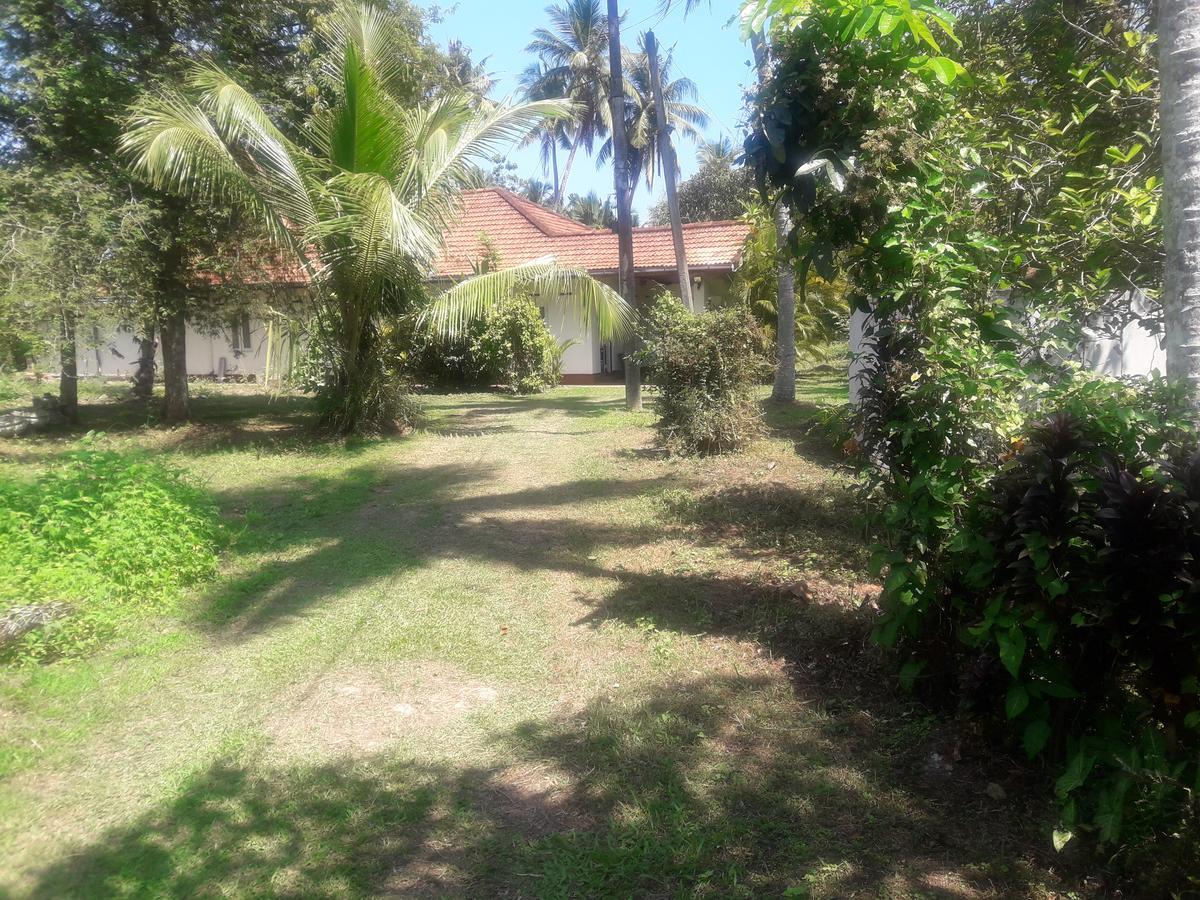 International Meditation Center Mirissa Exterior foto